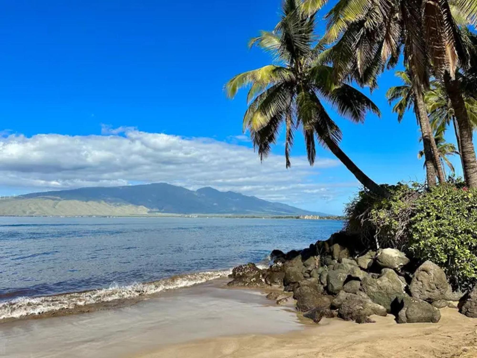 Cozy Maui Studio Retreat Just Steps To The Sand! 基黑 外观 照片